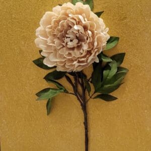A cream-colored peony on a gold background.