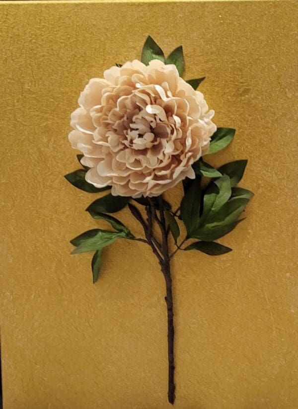 A cream-colored peony on a gold background.