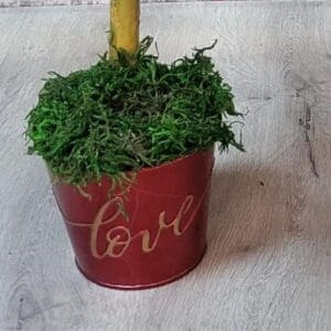 A small topiary tree in a red bucket with moss.