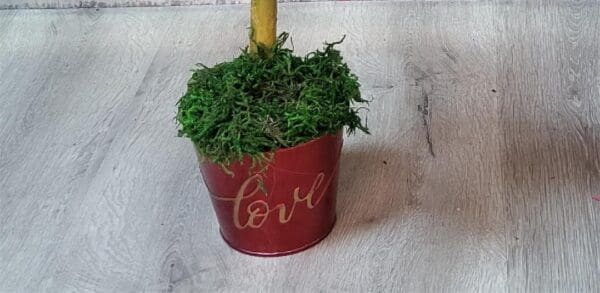 A small topiary tree in a red bucket with moss.