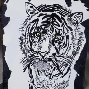 Black and white drawing of a tiger's face.